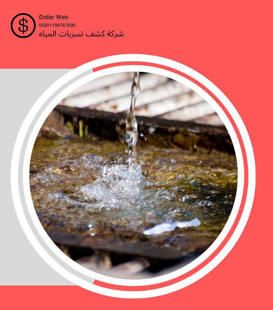 كشف تسربات المنتزهات جدة