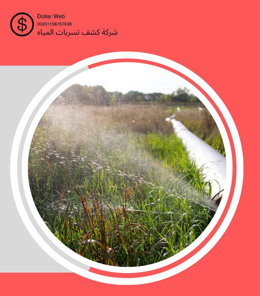 كشف تسربات البغدادية جدة