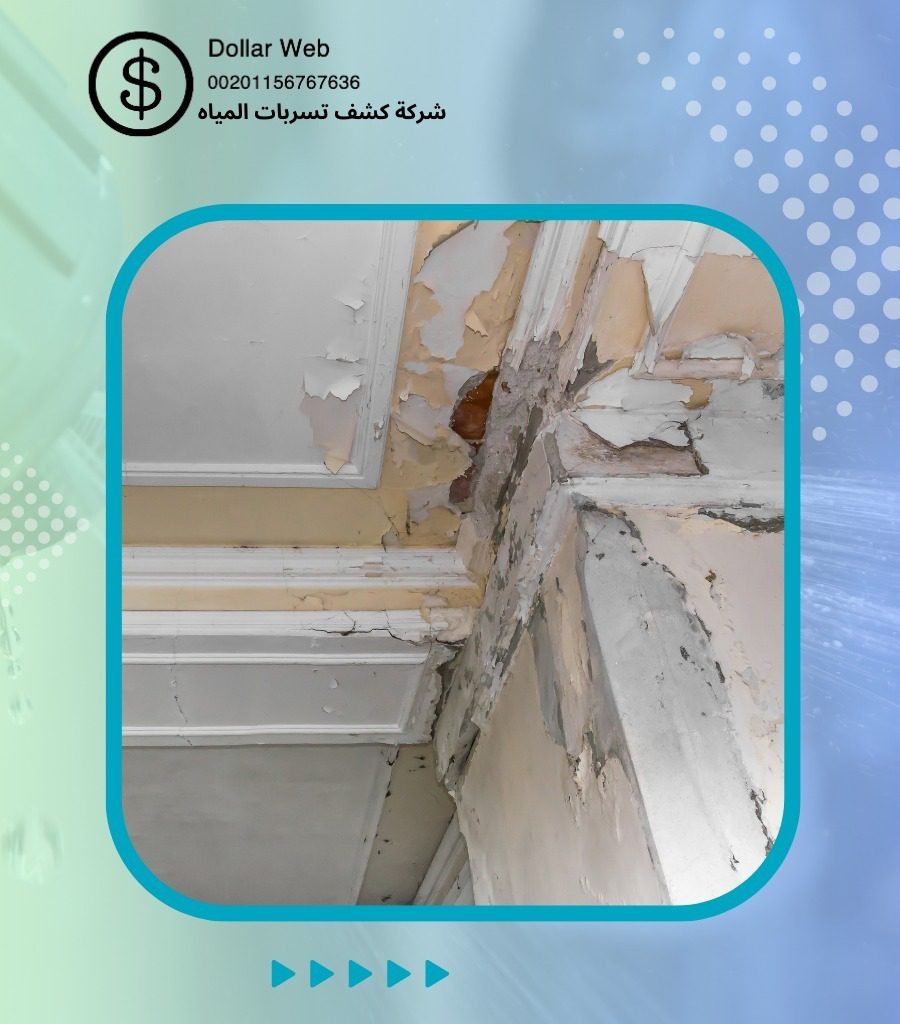 كشف تسربات المياه الزهرة فى جدة