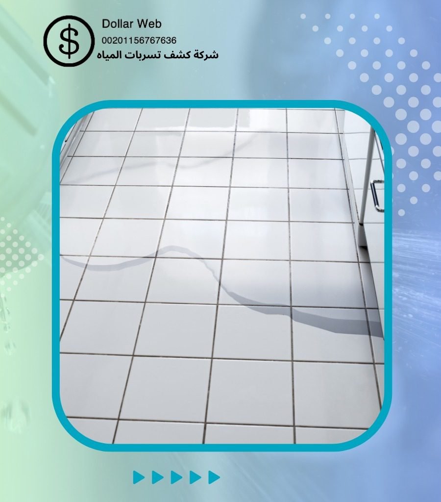 كشف تسربات المياه الفيصلية بجدة