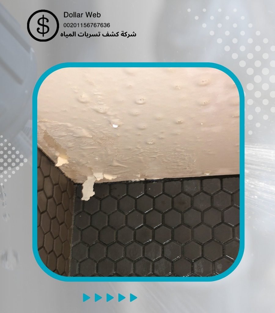 كشف تسربات البغدادية فى جدة