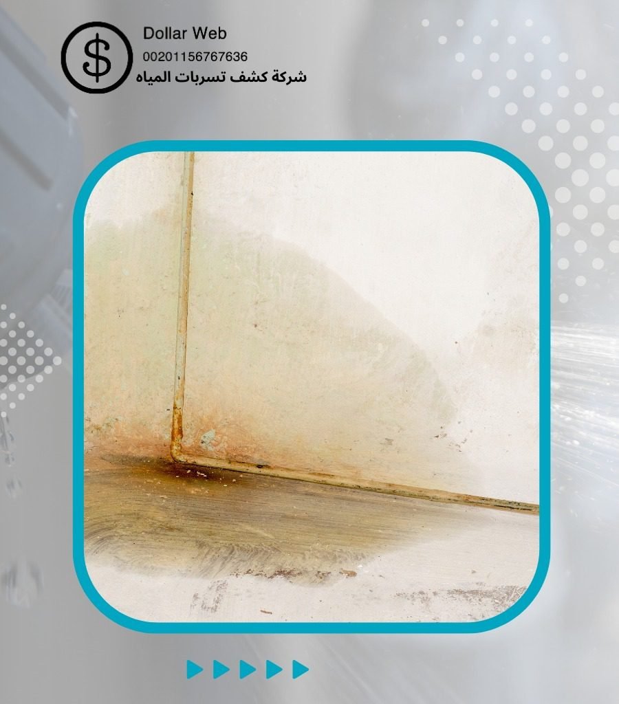 كشف تسربات المياه الرويس