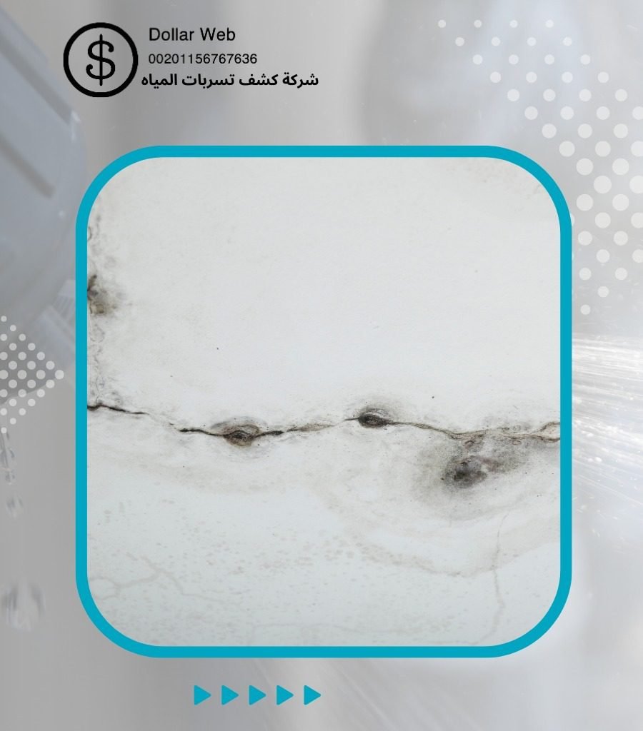 كشف تسربات المياه الخالدية جدة