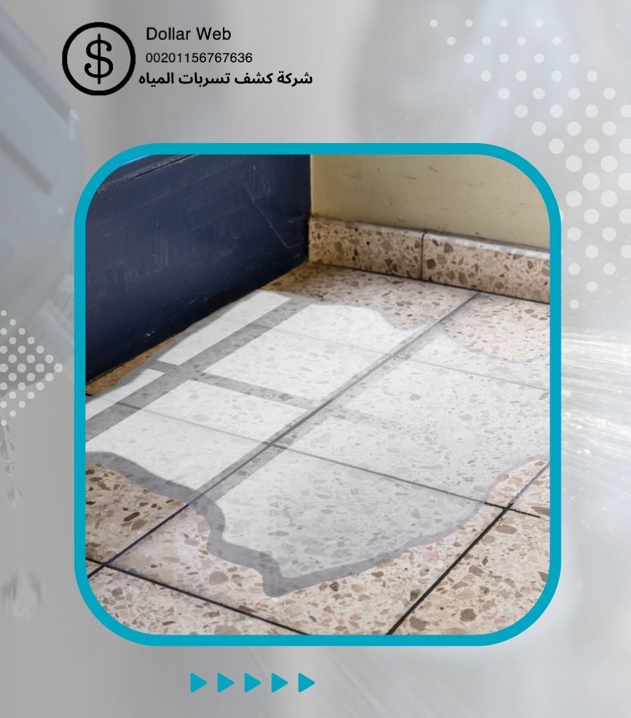 كشف تسربات الصفا بجدة