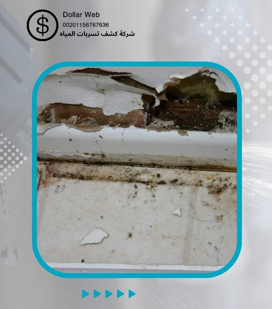 تسربات المياه الربوة جدة