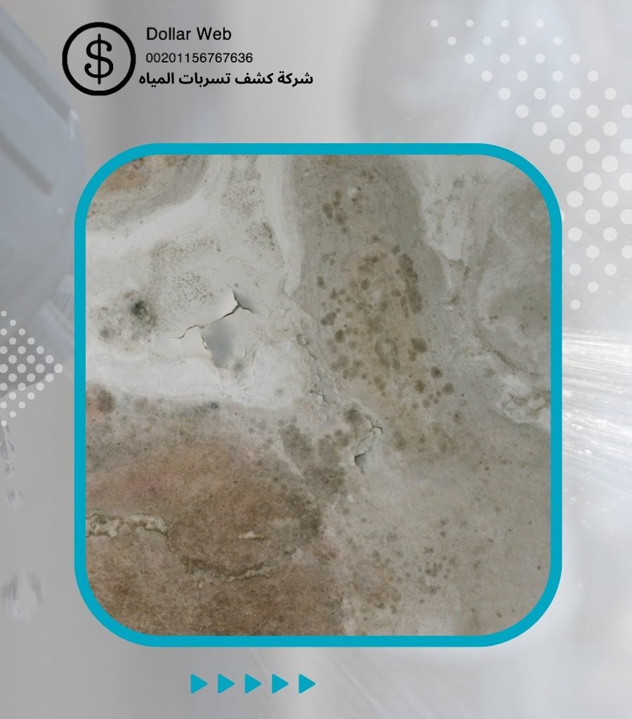 كشف تسربات المياه السلامة جدة